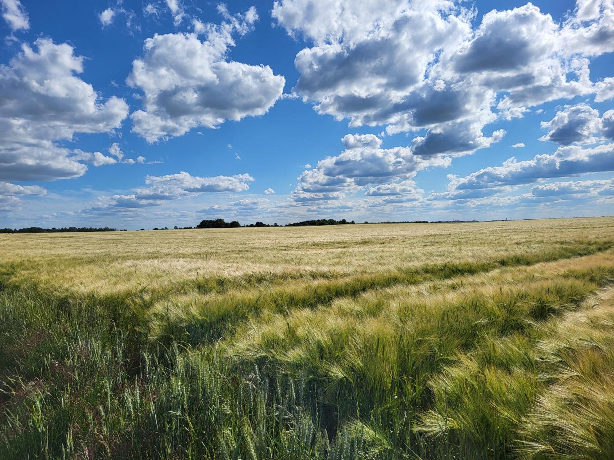 Les Glycines Panzió Ury Kültér fotó